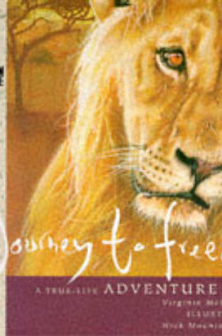 Cover of Journey to Freedom