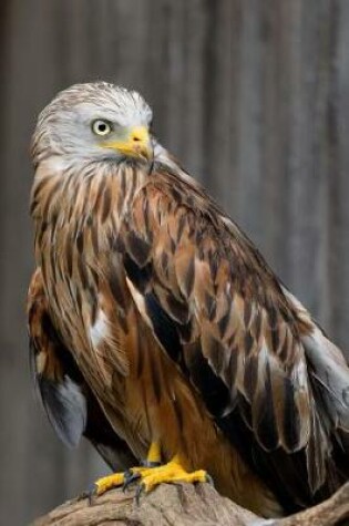 Cover of Stunning Red Kite Raptor Journal