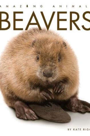 Cover of Beavers