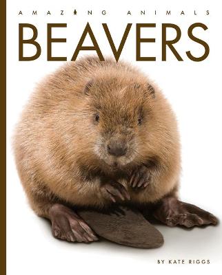 Book cover for Beavers