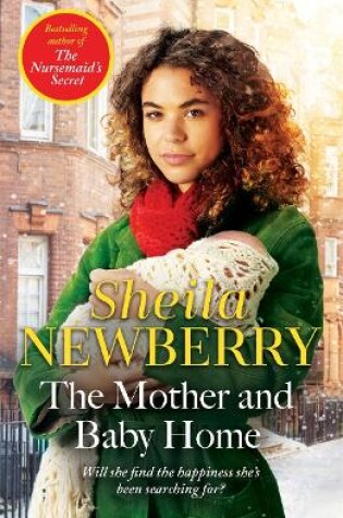 Cover of The Mother and Baby Home