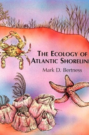 Cover of The Ecology of Atlantic Shorelines