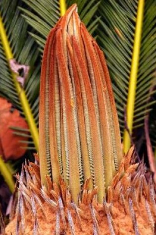 Cover of Cycad Gardening Journal