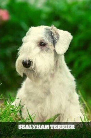 Cover of Sealyham Terrier