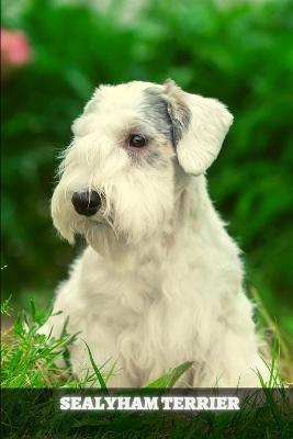 Book cover for Sealyham Terrier