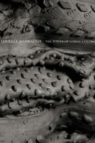 Cover of The Power of  Losing Control