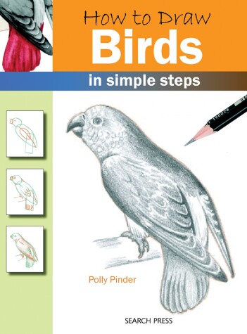 Book cover for Birds