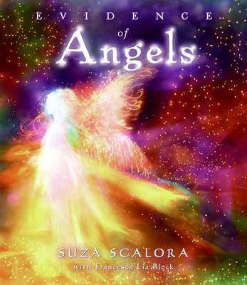 Book cover for Evidence of Angels