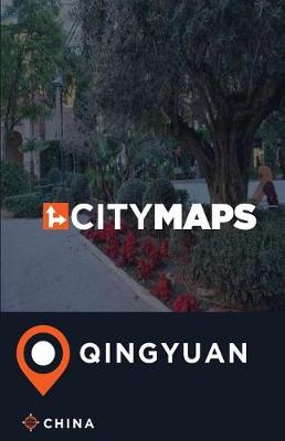 Book cover for City Maps Qingyuan China