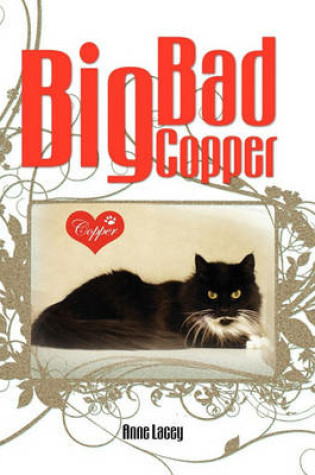 Cover of Big Bad Copper