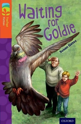 Cover of Oxford Reading Tree TreeTops Fiction: Level 13: Waiting for Goldie