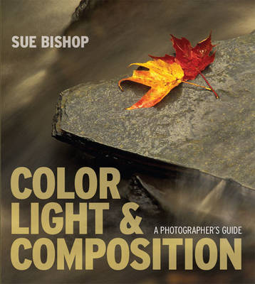 Book cover for Color, Light and Composition
