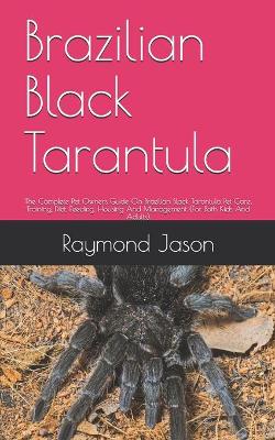 Book cover for Brazilian Black Tarantula