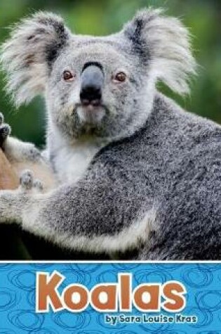 Cover of Australian Animals Koalas a 4D Book