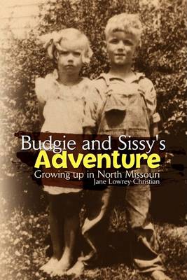 Book cover for Budgie and Sissy's Adventure