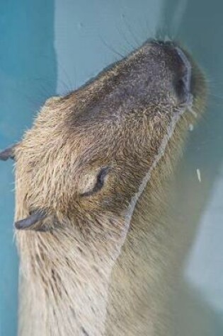Cover of The Capybara Surfaces from the Depths of the Pool Journal
