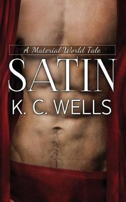 Book cover for Satin