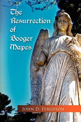 Book cover for The Resurrection of Booger Mapes