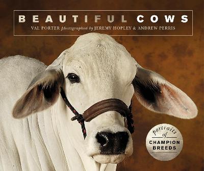 Book cover for Beautiful Cows