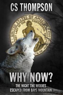 Book cover for Why Now?