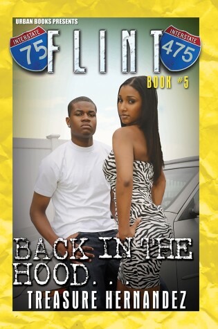 Cover of Flint Book 5: Back In The Hood