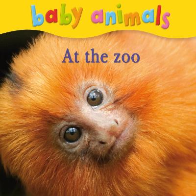 Book cover for Baby Animals: At the Zoo