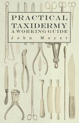 Book cover for Practical Taxidermy - A Working Guide