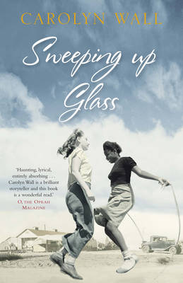 Book cover for Sweeping Up Glass