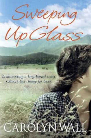 Cover of Sweeping Up Glass