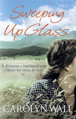 Book cover for Sweeping Up Glass