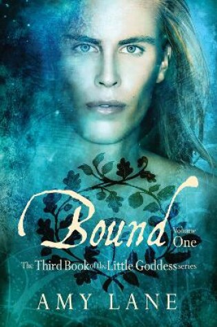 Cover of Bound, Vol. 1