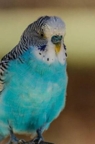 Cover of A Stunning Blue Parakeet Bird Perched Journal