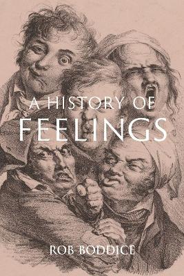 Book cover for A History of Feelings