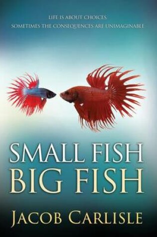 Cover of Small Fish Big Fish