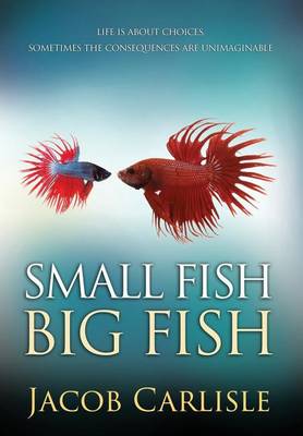 Book cover for Small Fish Big Fish