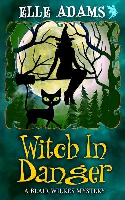 Book cover for Witch in Danger