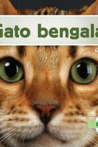 Cover of Gato Bengala (Bengal Cats)