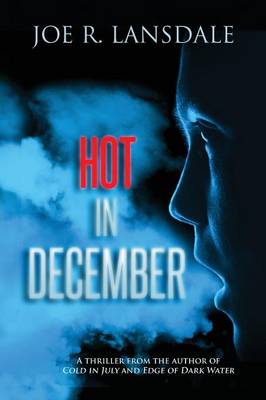 Book cover for Hot in December