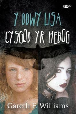 Book cover for Cyfres y Dderwen: Y Ddwy Lisa - Cysgod yr Hebog