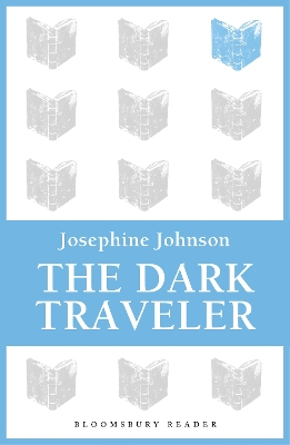 Book cover for The Dark Traveler