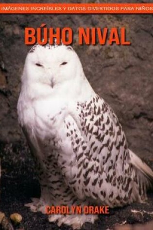 Cover of Búho nival