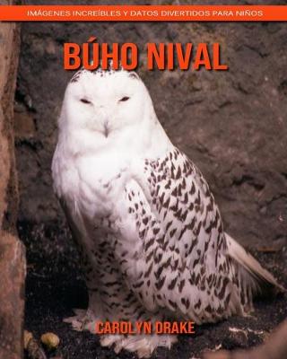 Book cover for Búho nival