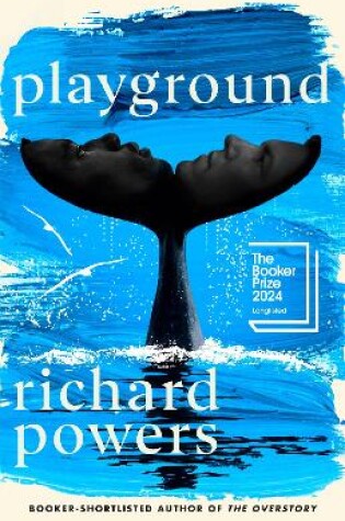 Cover of Playground