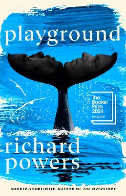 Book cover for Playground