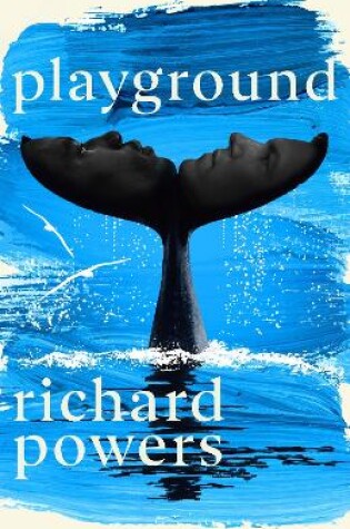 Cover of Playground