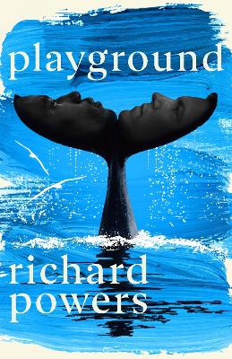 Book cover for Playground