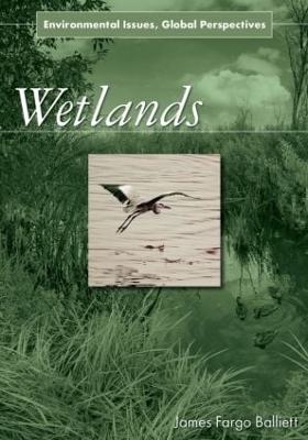 Book cover for Wetlands
