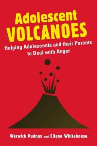 Cover of Adolescent Volcanoes