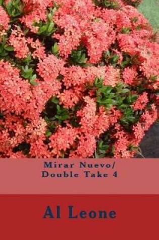 Cover of Mirar Nuevo/ Double Take 4