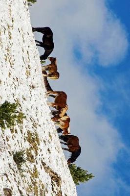 Book cover for Horses on a Snow Covered Ridge in Italy Journal